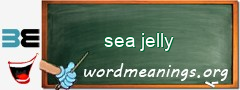WordMeaning blackboard for sea jelly
